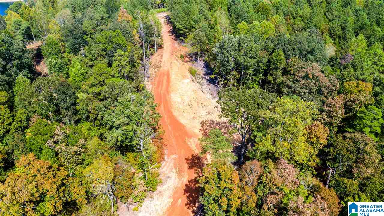 0 County Road 297 Cullman, AL 35057 - Photo 40 of 48