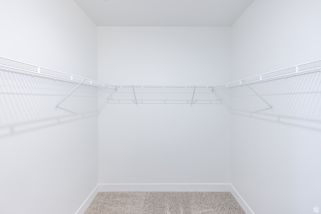 693 West 4500th South, Unit O202 Mapleton, UT 84664 - Photo 8 of 16 Walk in closet featuring light colored carpet