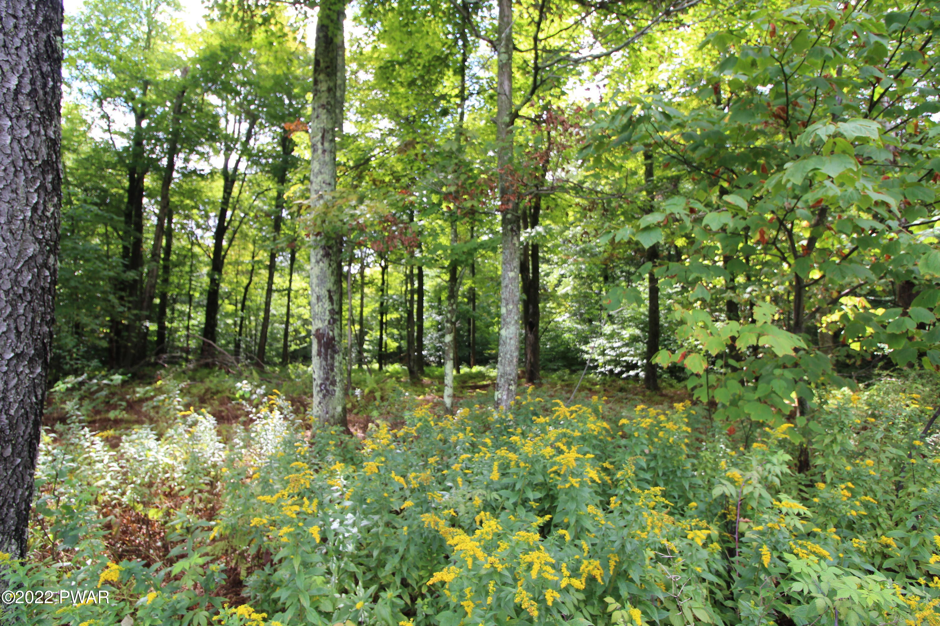 South Turnpike Road Newfoundland, PA 18445 - Photo 8 of 13