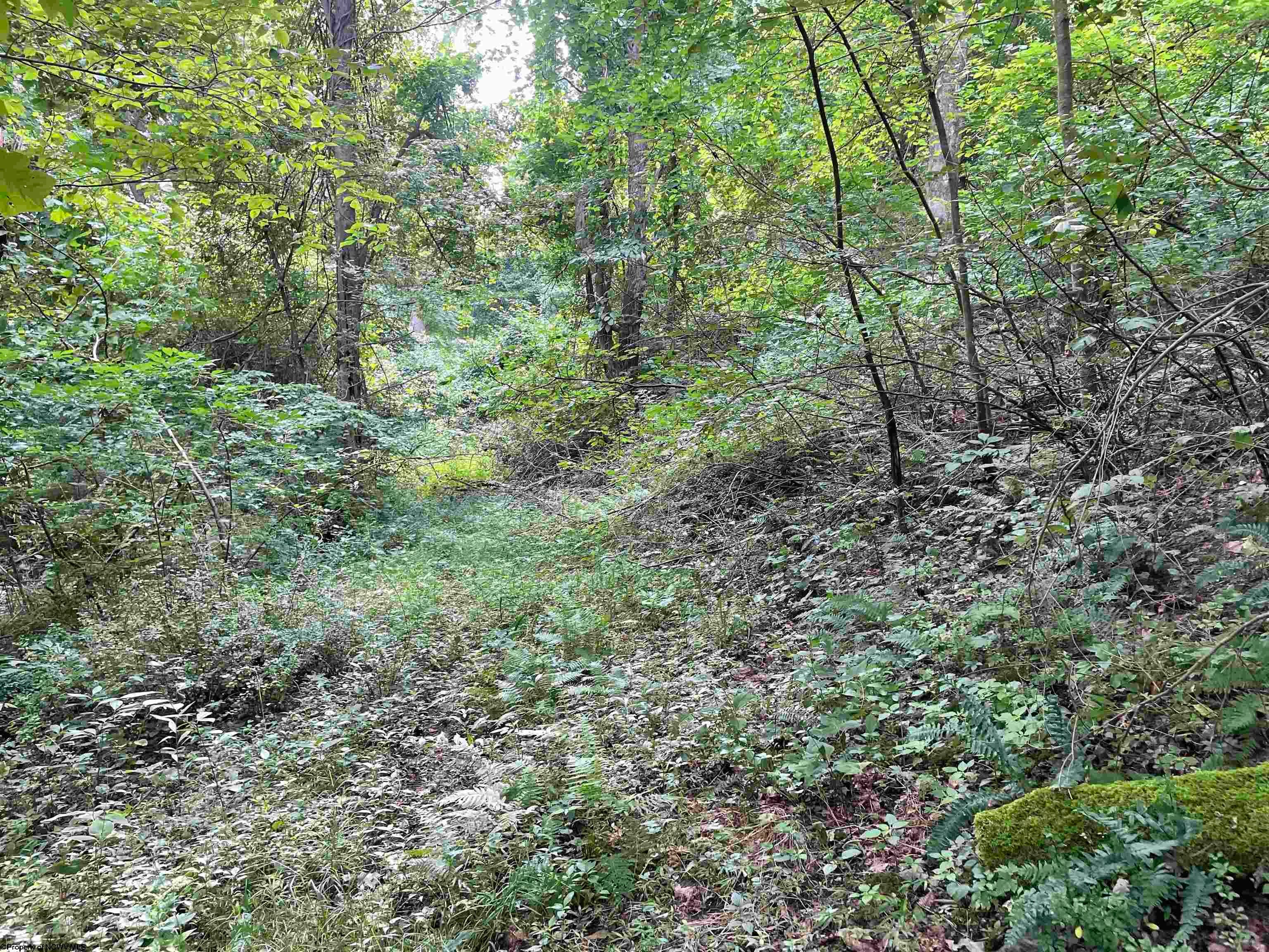 Tbd Little Mill Fall Road Fairmont, WV 26554 - Photo 15 of 20 Gallery Image 15