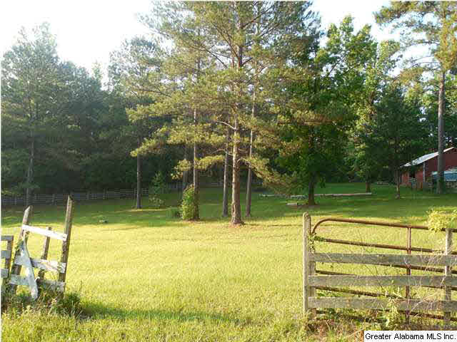 696 Kiniard Road Brent, AL 35034 - Photo 6 of 32