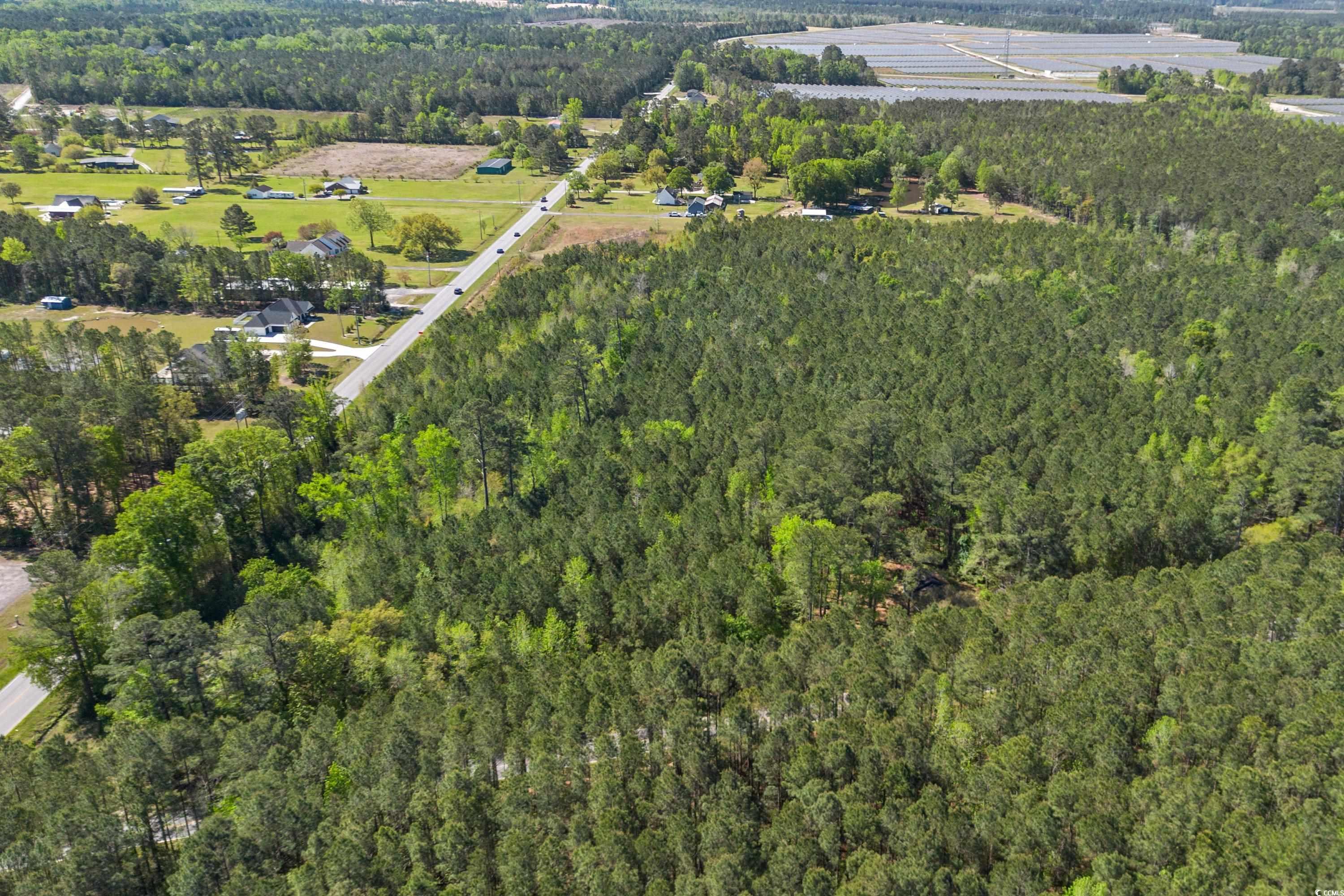 619 Gilbert Road Conway, SC 29527 - Photo 12 of 29