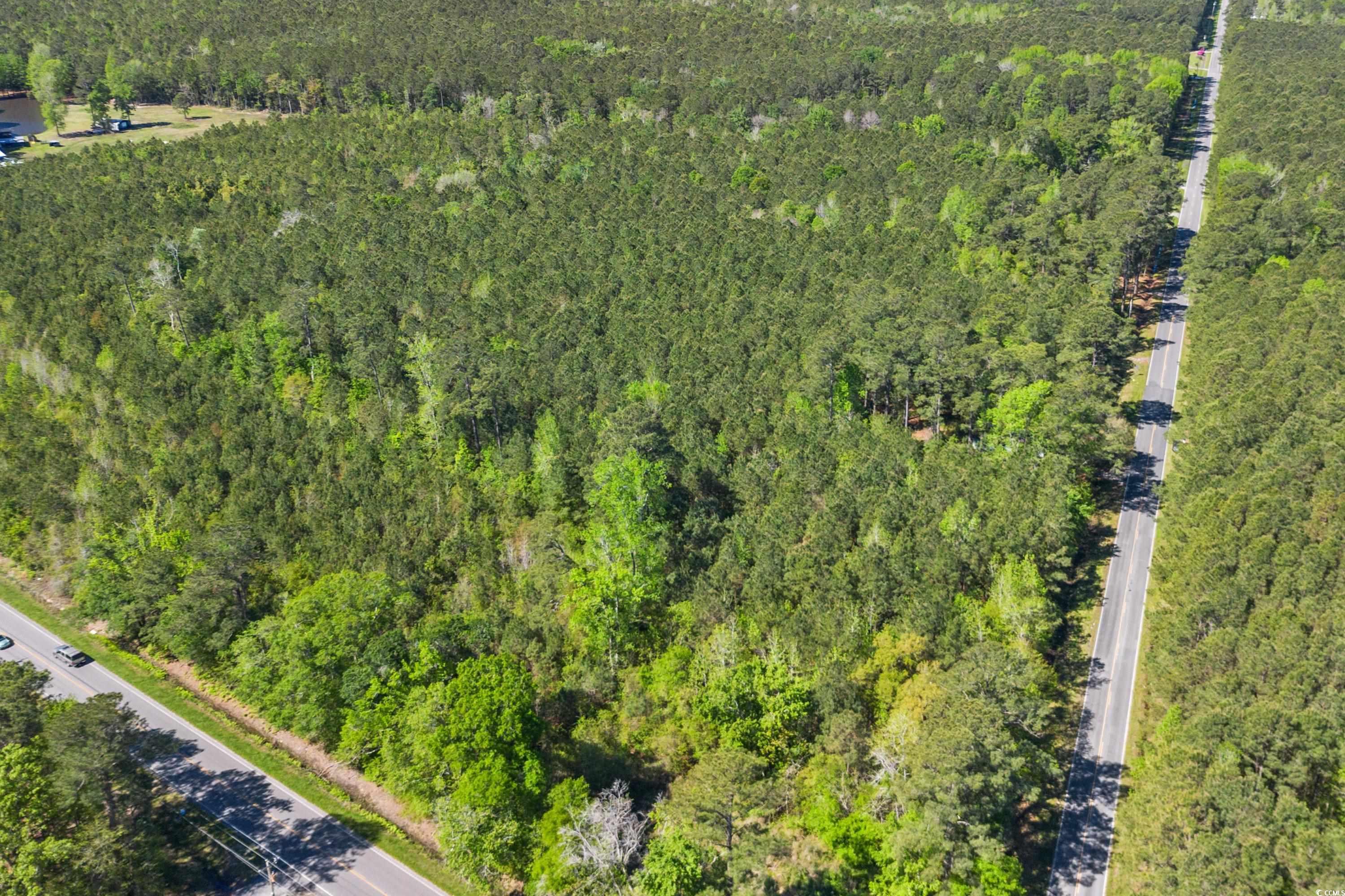 619 Gilbert Road Conway, SC 29527 - Photo 4 of 29