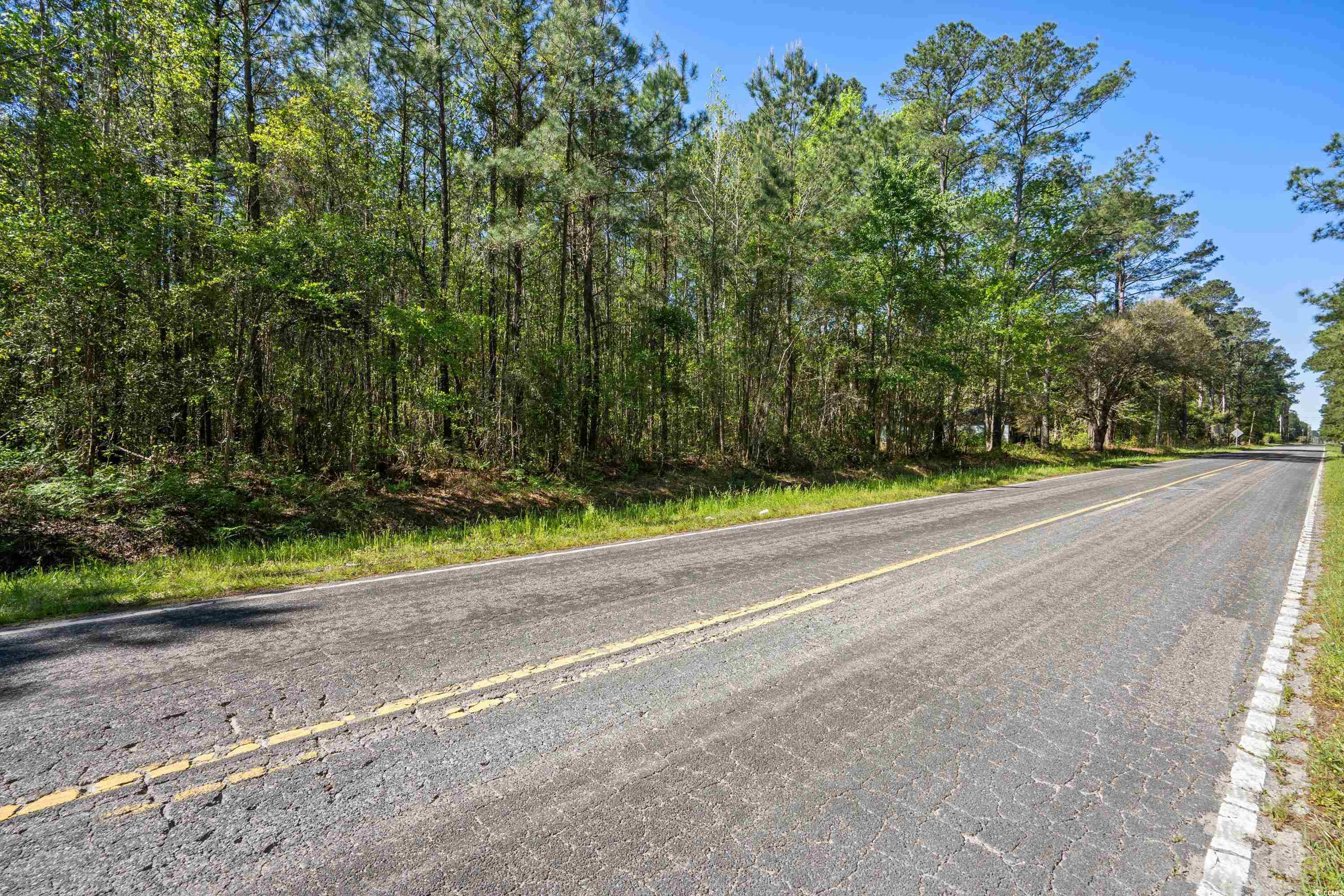 619 Gilbert Road Conway, SC 29527 - Photo 5 of 29