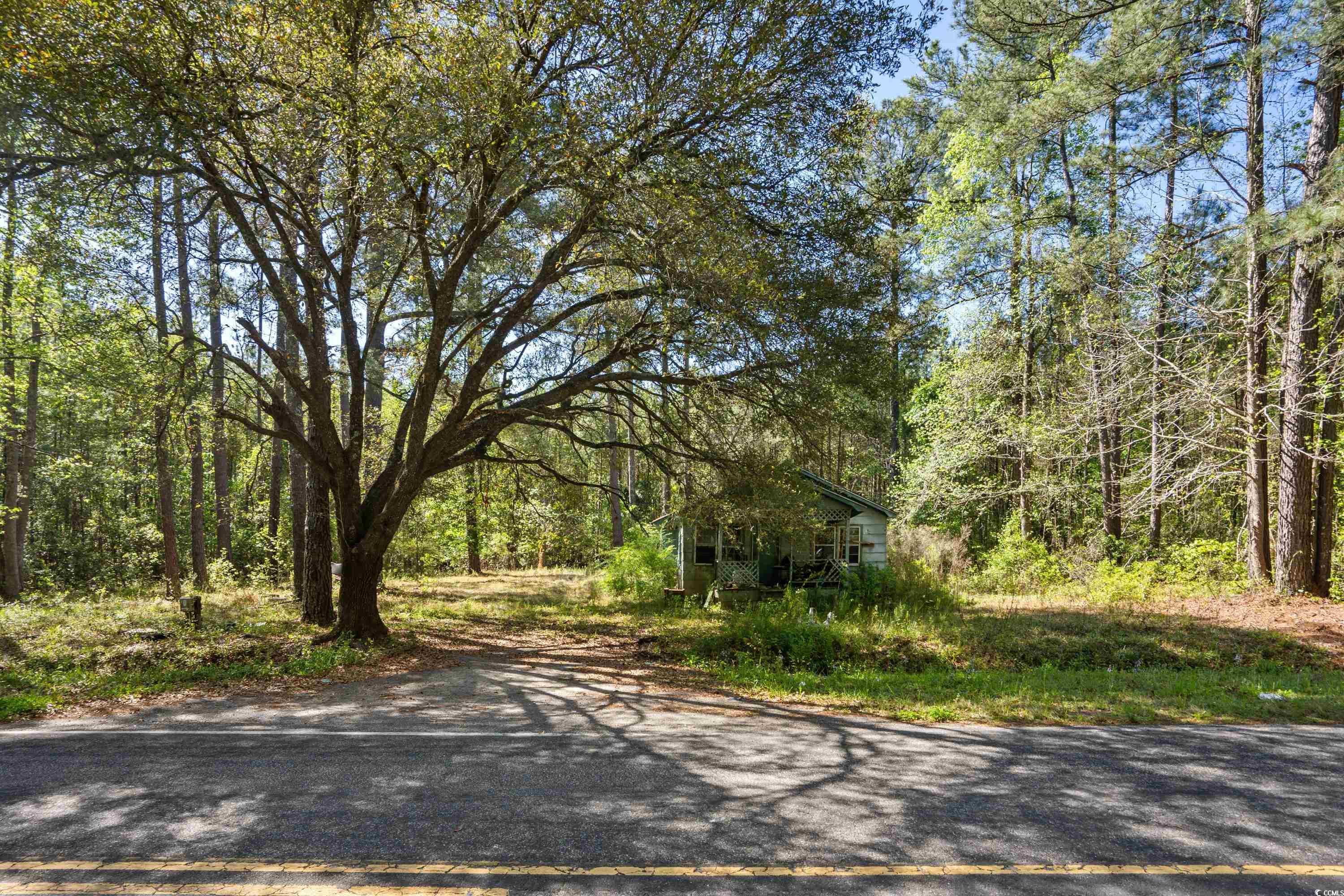 619 Gilbert Road Conway, SC 29527 - Photo 6 of 29