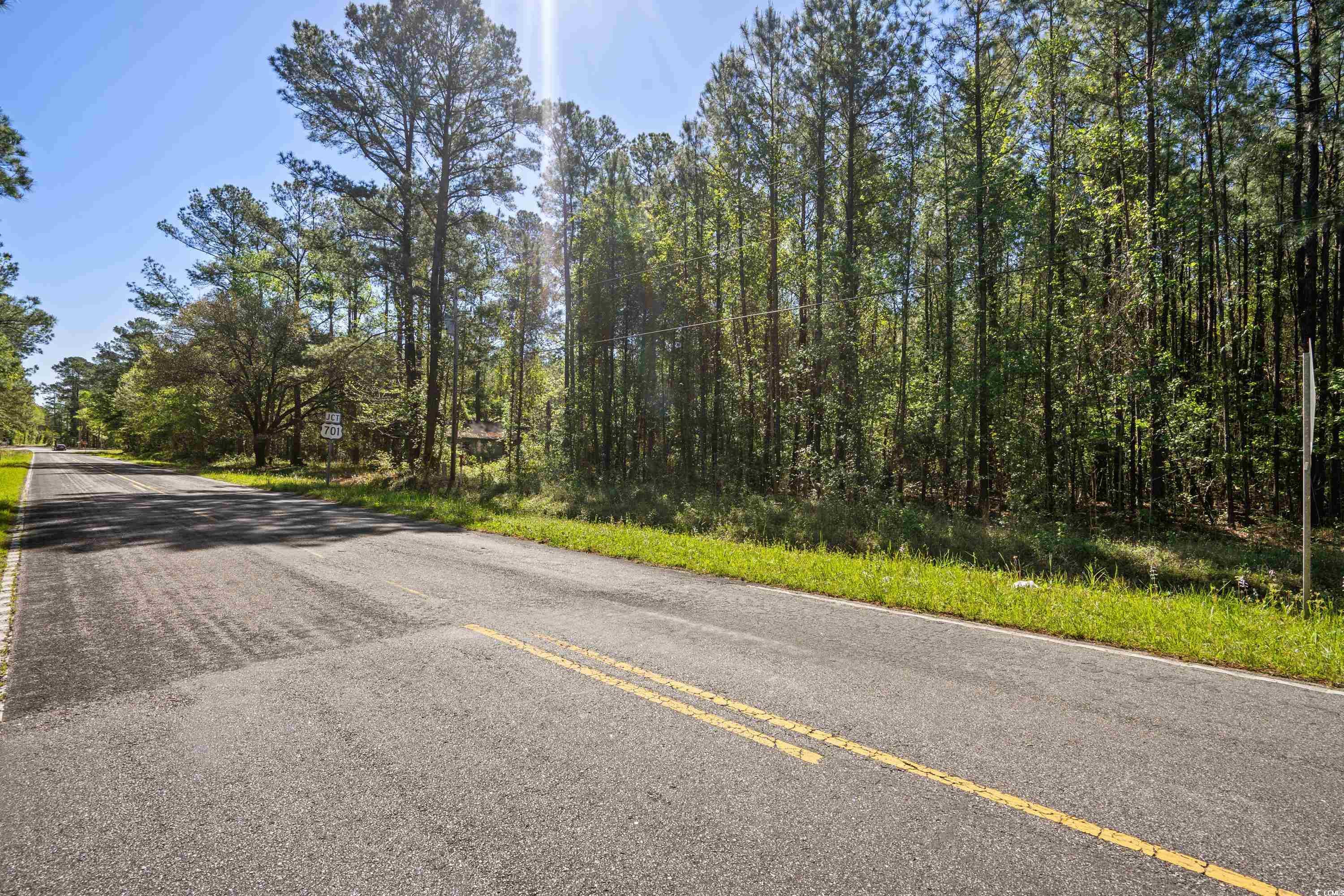 619 Gilbert Road Conway, SC 29527 - Photo 7 of 29