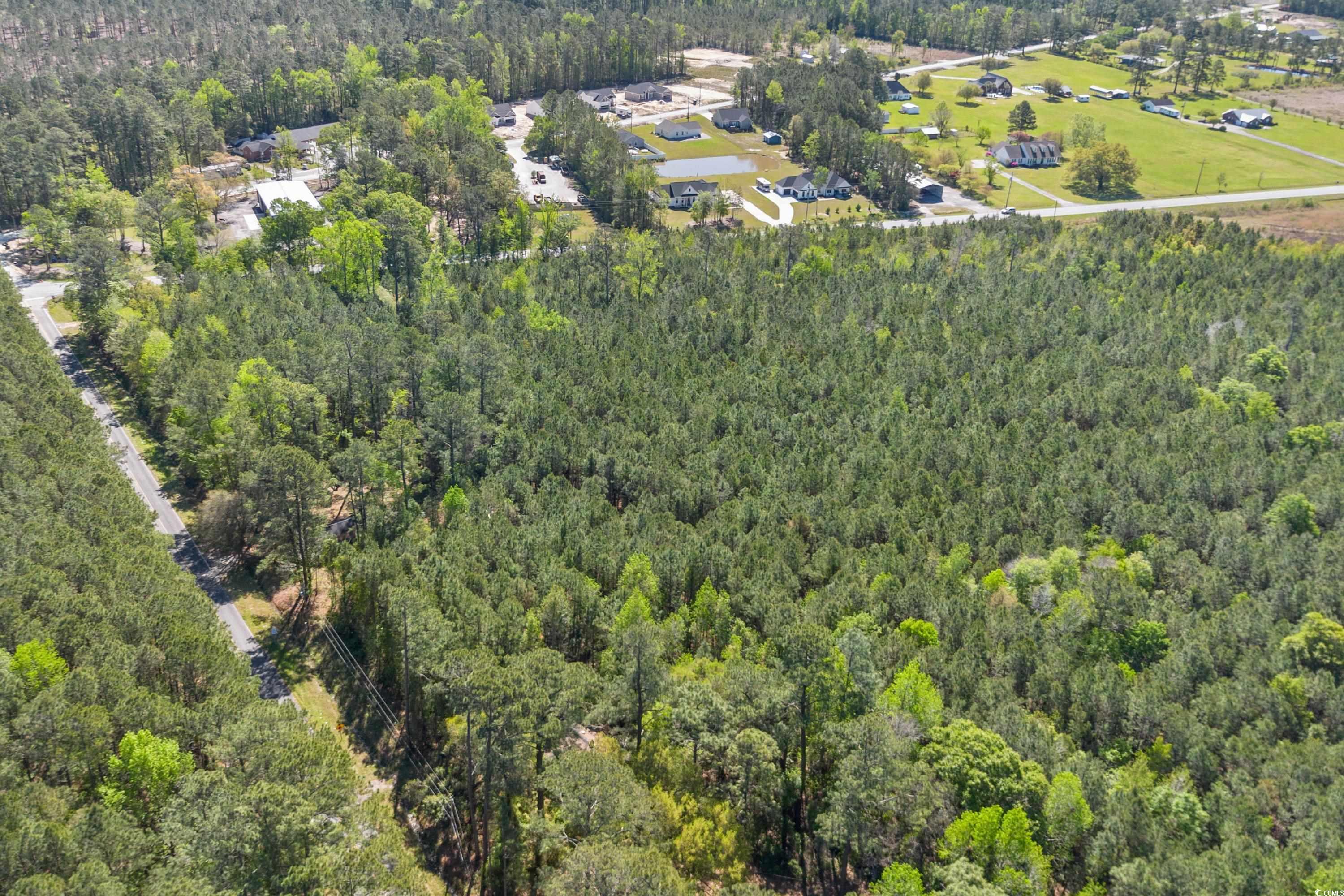 619 Gilbert Road Conway, SC 29527 - Photo 9 of 29