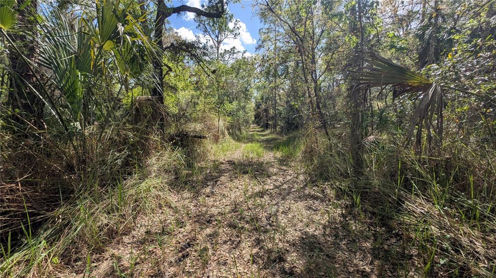 Gillette Road Zolfo Springs, FL 33890 - Photo 10 of 86 Gallery Image 10