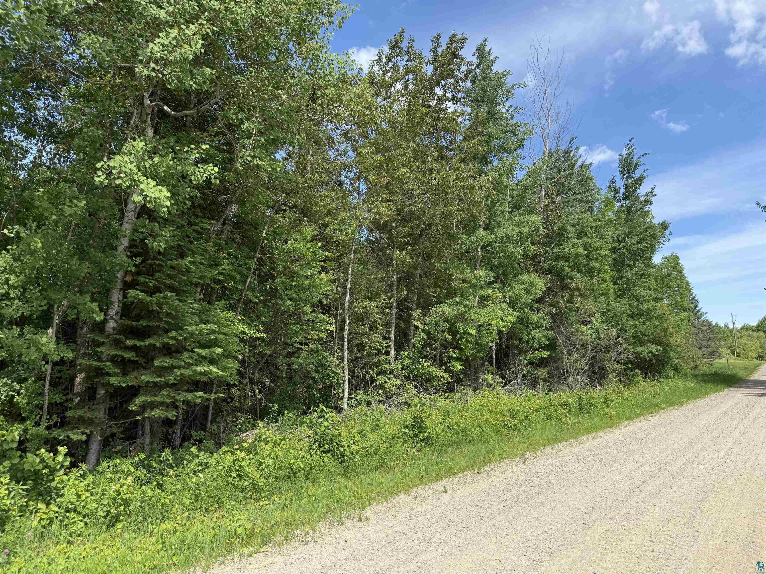 Parcel B Parcel B Parameter Road Deer River, MN 56636 - Photo 8 of 17