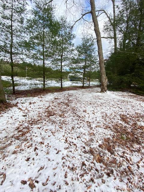 27 Bowman Road Jim Thorpe, PA 18229 - Photo 3 of 21 Gallery Image 3