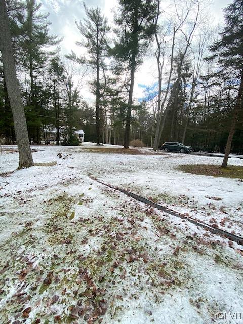 27 Bowman Road Jim Thorpe, PA 18229 - Photo 4 of 21 Gallery Image 4