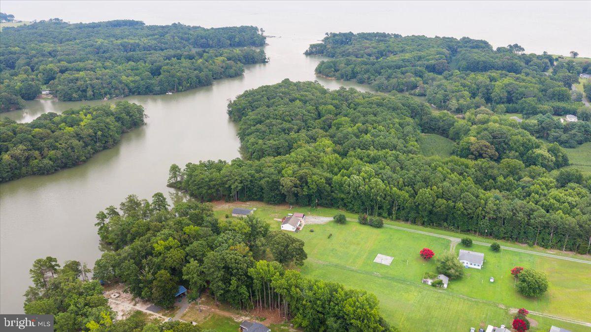 141 Raintree Lane Reedville, VA 22539 - Photo 4 of 86 Lush landscapes meet tranquil waters.