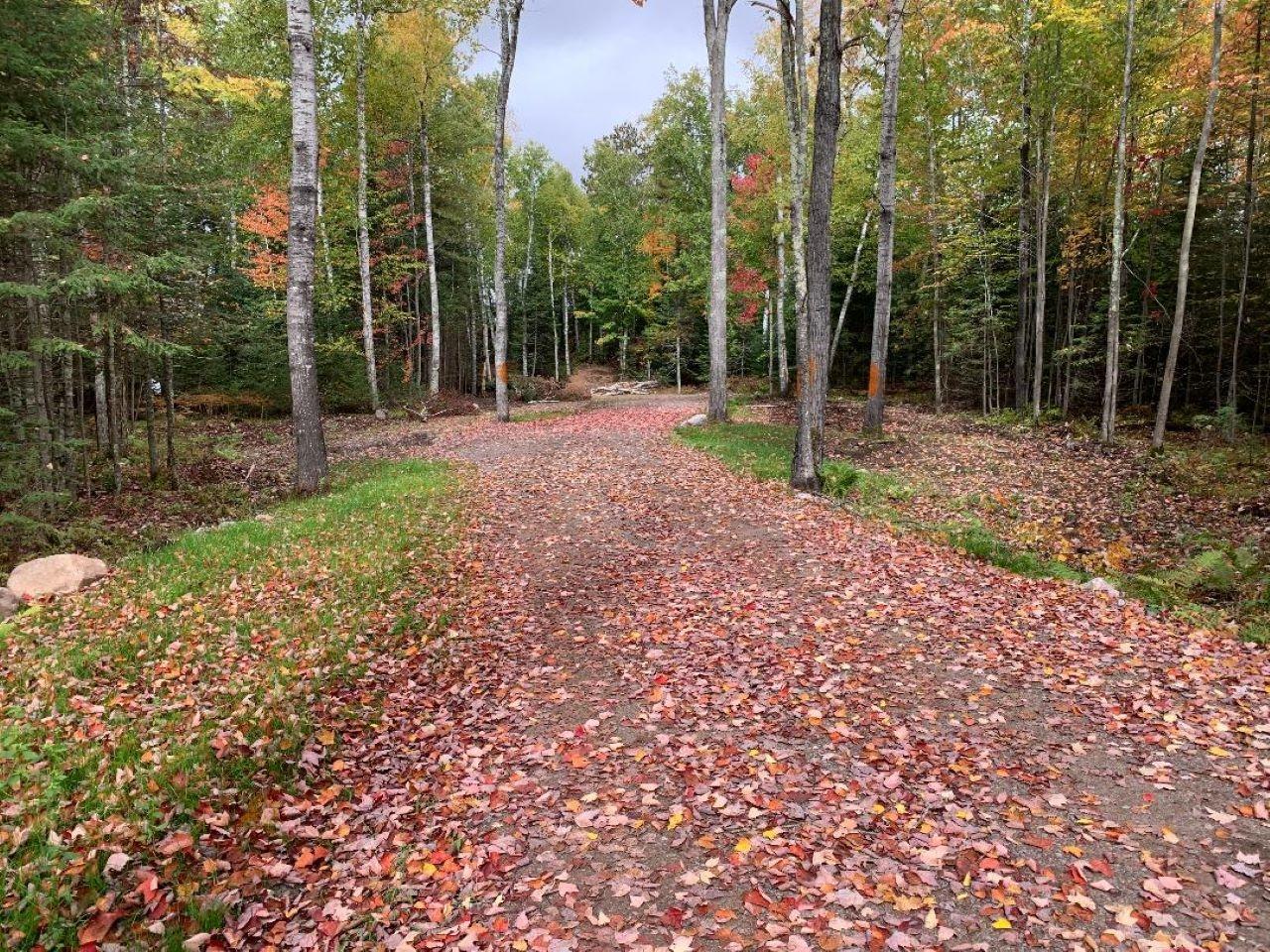 On Little Pike Road Mercer, WI 54547 - Photo 6 of 43 Gallery Image 6