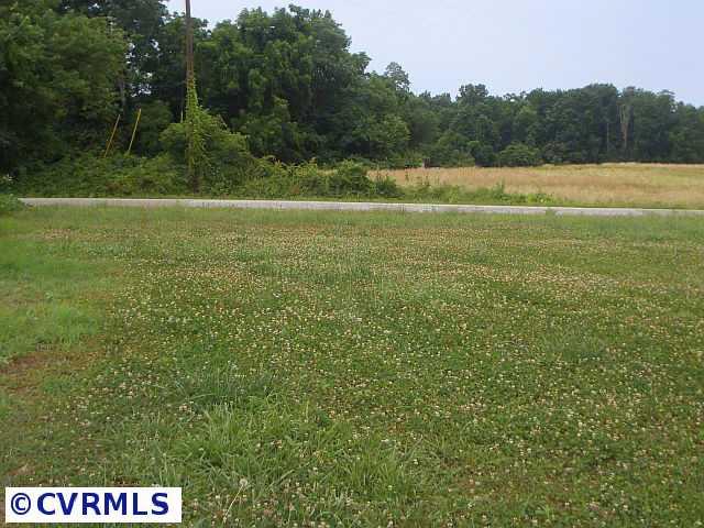 352 Damerontown Road Callao, VA 22435 - Photo 7 of 9 Other - VIEW OF THE FRONT YARD FROM THE HOUSE. GOOD DISTANCE FROM THE ROAD