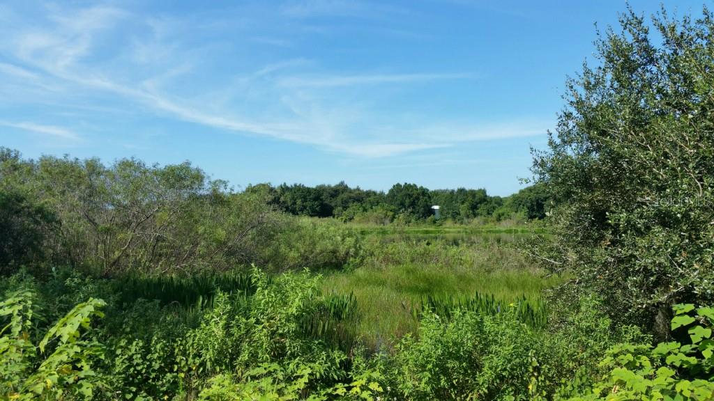 Waverly Road Lake Wales, FL 33859 - Photo 1 of 1