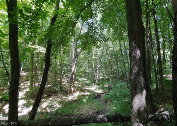 Kinsman Ridge Kinsman, OH 44428 - Photo 2 of 17 Gallery Image 2