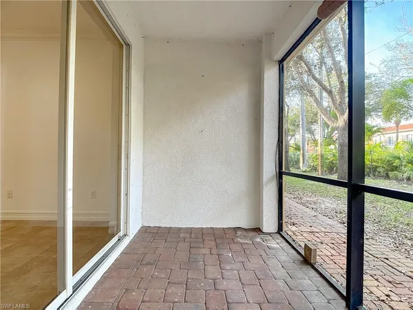 a view of a yard with plants and large trees