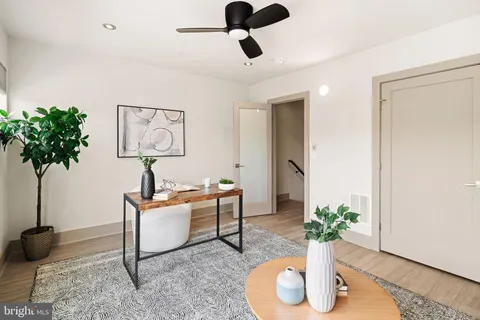 a living room with furniture and a potted plant