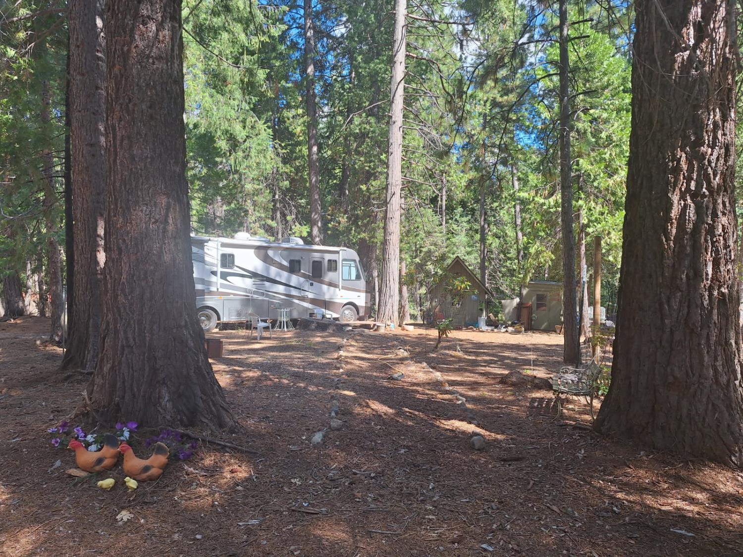 5695 Juarez Road Pollock Pines, CA 95726 - Photo 21 of 28