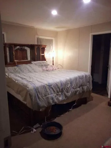 a bedroom with a bed and a closet