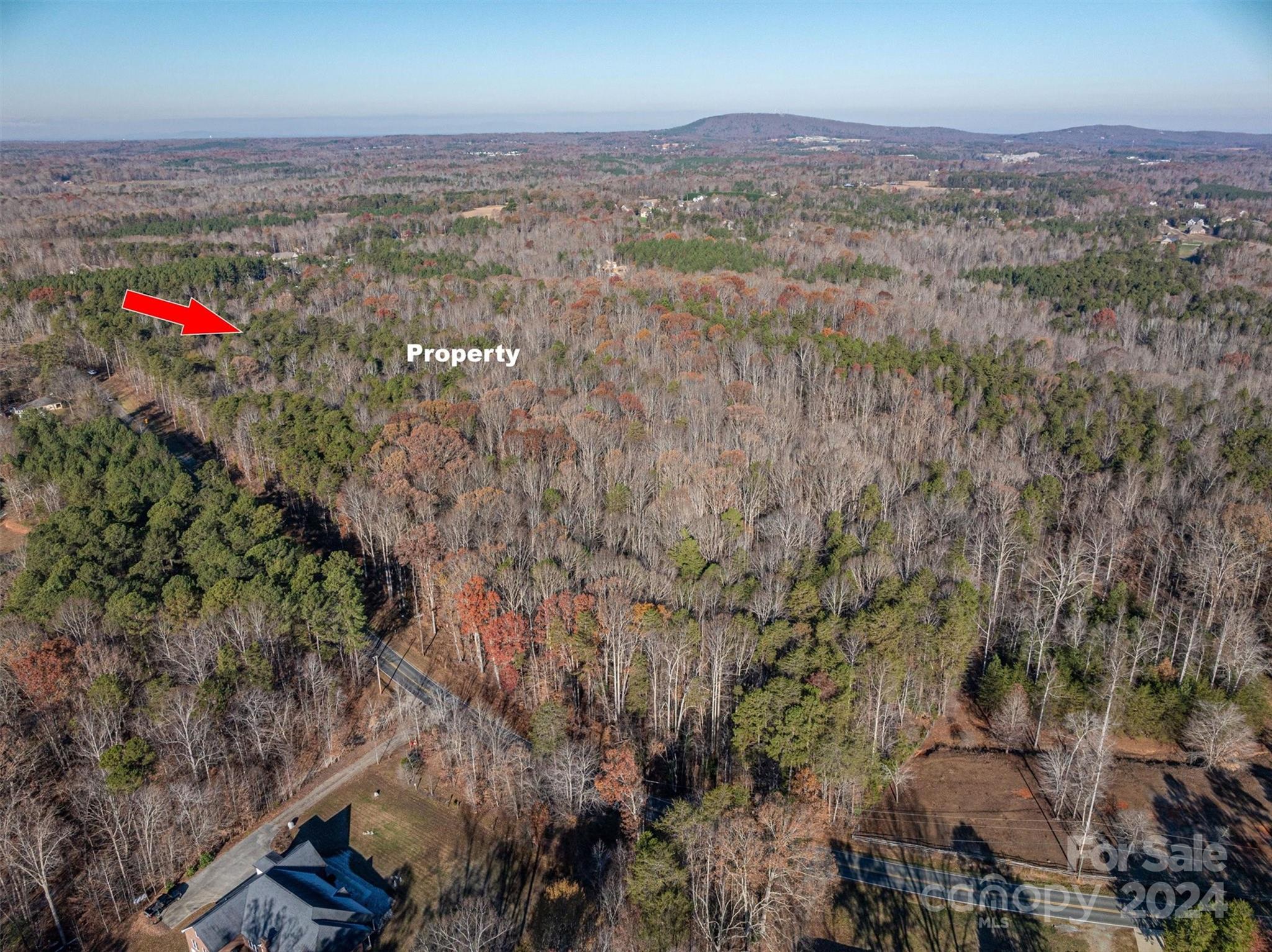0 Forney Hill Road Denver, NC 28037 - Photo 3 of 14 Gallery Image 3