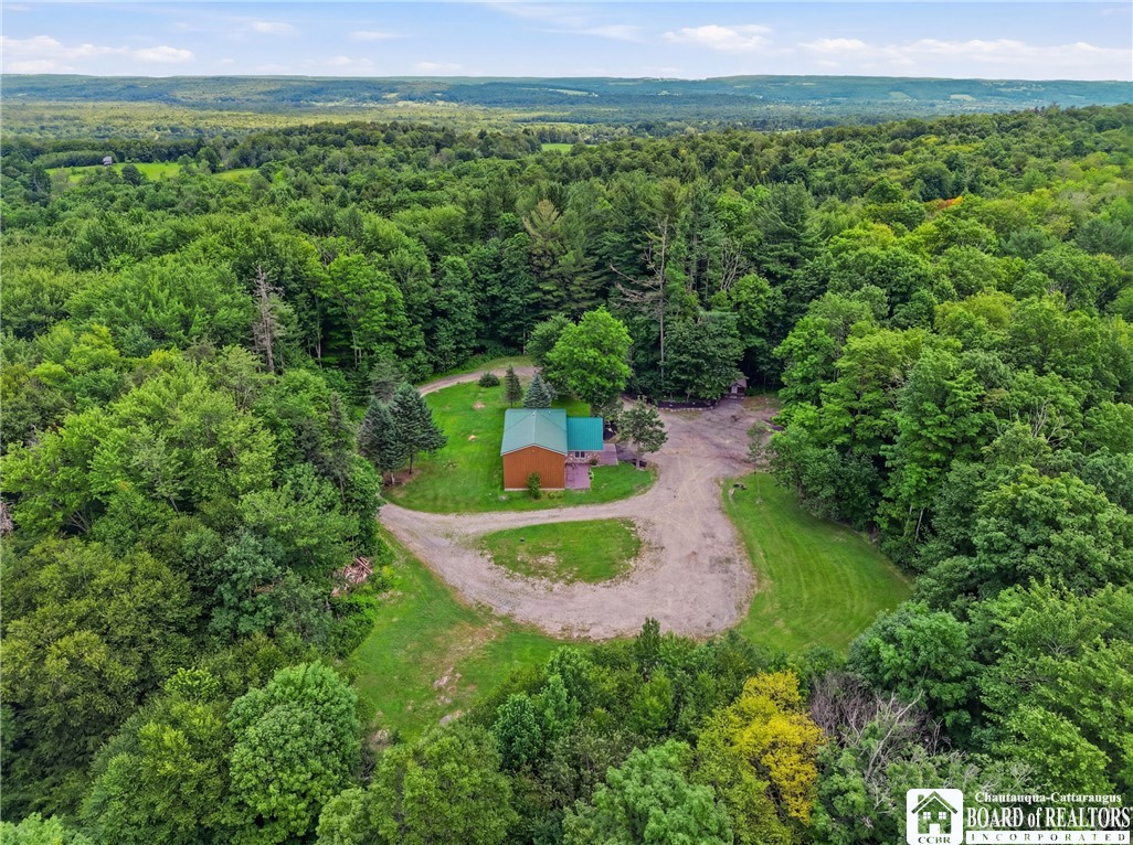 5689 Fenner Road Stockton, NY 14782 - Photo 41 of 50