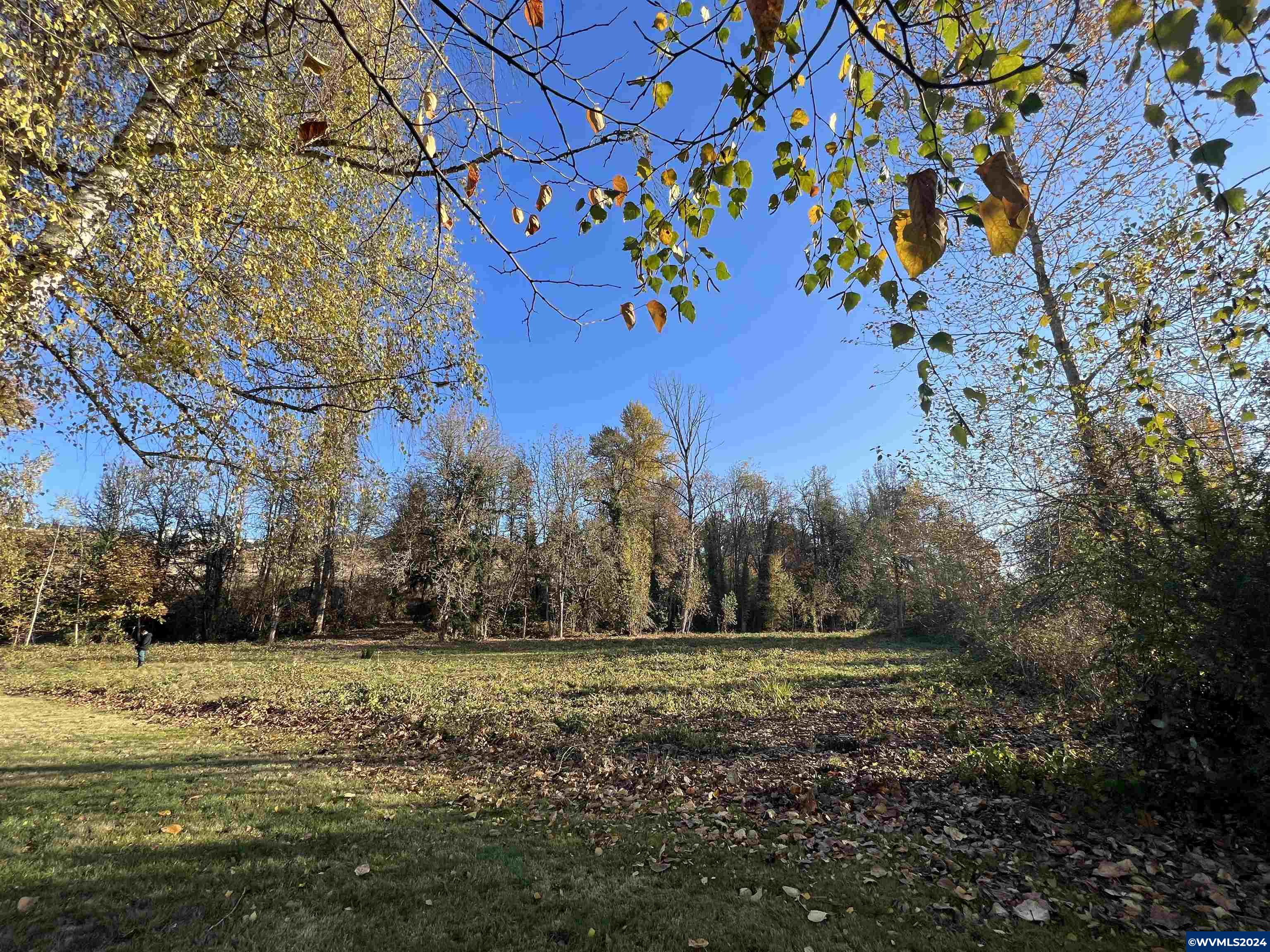 0 Brush College Road Northwest Salem, OR 97304 - Photo 5 of 7