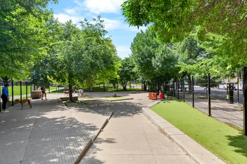 a view of a park with plants and trees