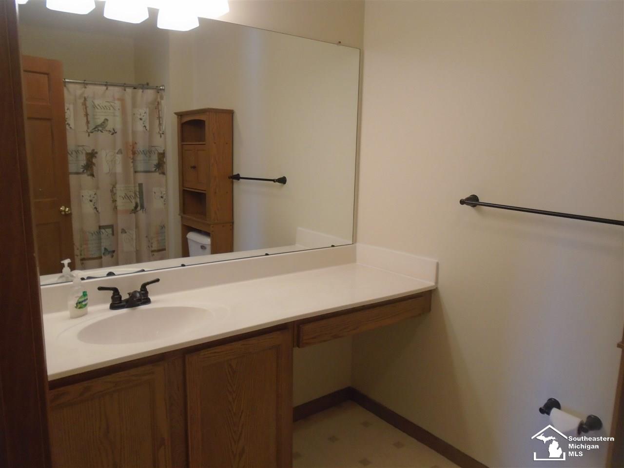12066 Secor Road Petersburg, MI 49270 - Photo 21 of 38 50034621-20.JPG