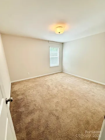 a view of backyard and tree