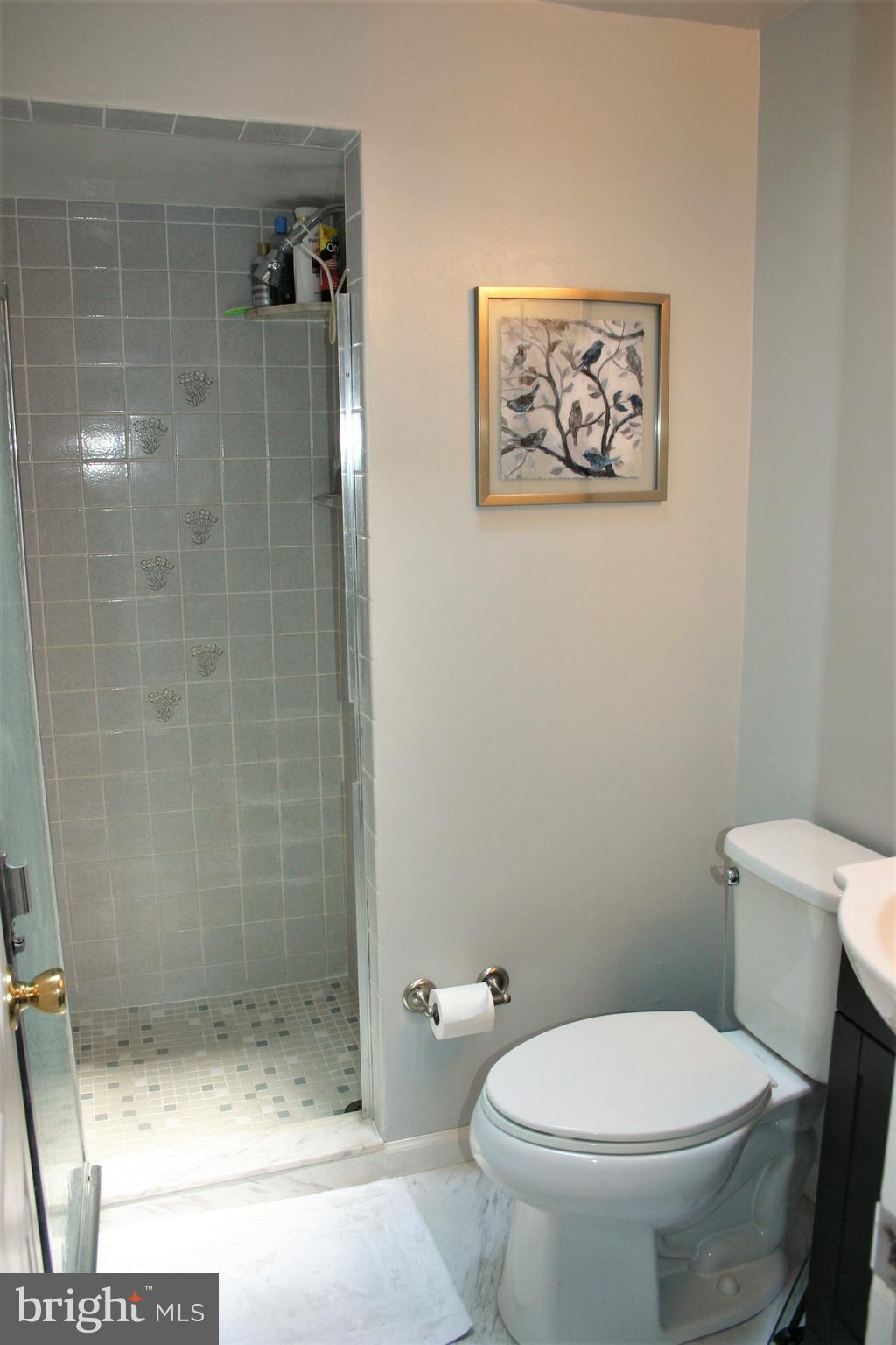 9179 Ryerson Road Philadelphia, PA 19114 - Photo 18 of 42 Master Bath