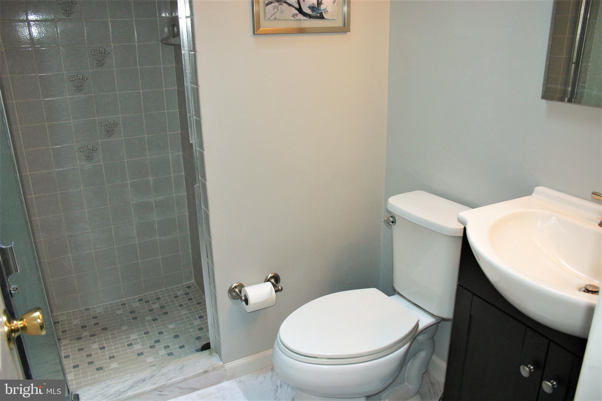 9179 Ryerson Road Philadelphia, PA 19114 - Photo 19 of 42 Master Bath