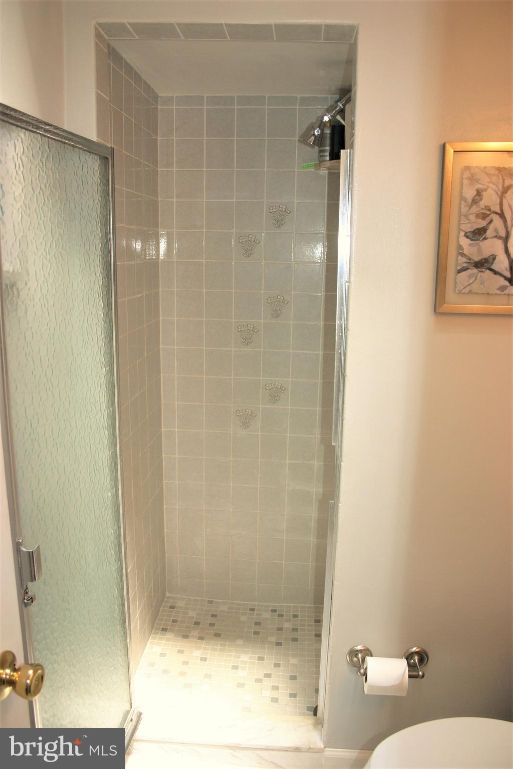 9179 Ryerson Road Philadelphia, PA 19114 - Photo 20 of 42 Master Bath