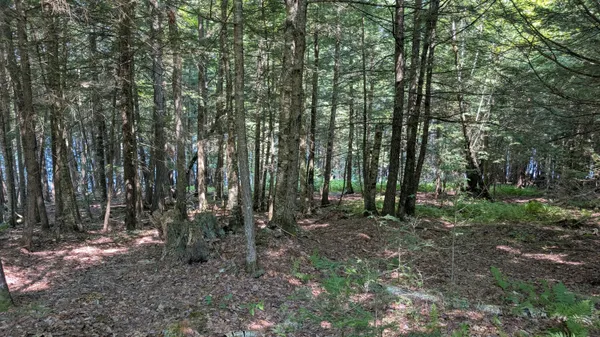 $79,900 | Lot #8 Kolm Lane, Garland, ME 04939