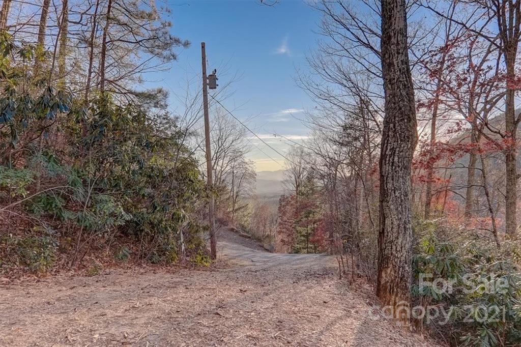 263 Summer Circle Clyde, NC 28721 - Photo 32 of 36 a backyard of a house with lots of green space