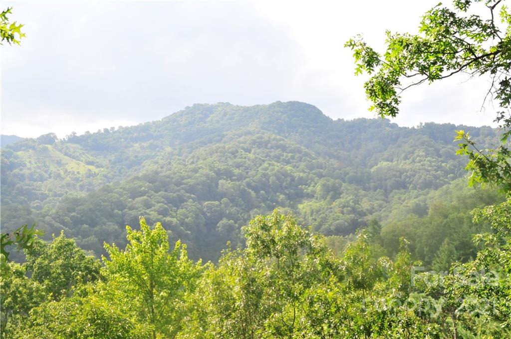 263 Summer Circle Clyde, NC 28721 - Photo 34 of 36 a view of a dry yard with mountains in the background