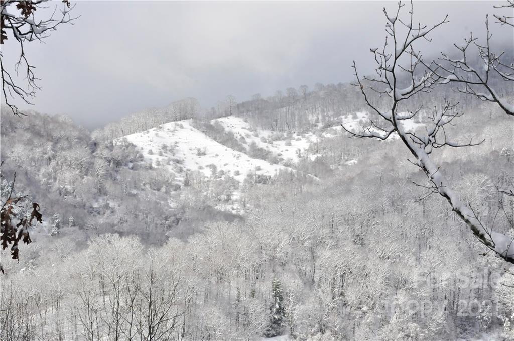263 Summer Circle Clyde, NC 28721 - Photo 35 of 36 a view of a backyard of a house