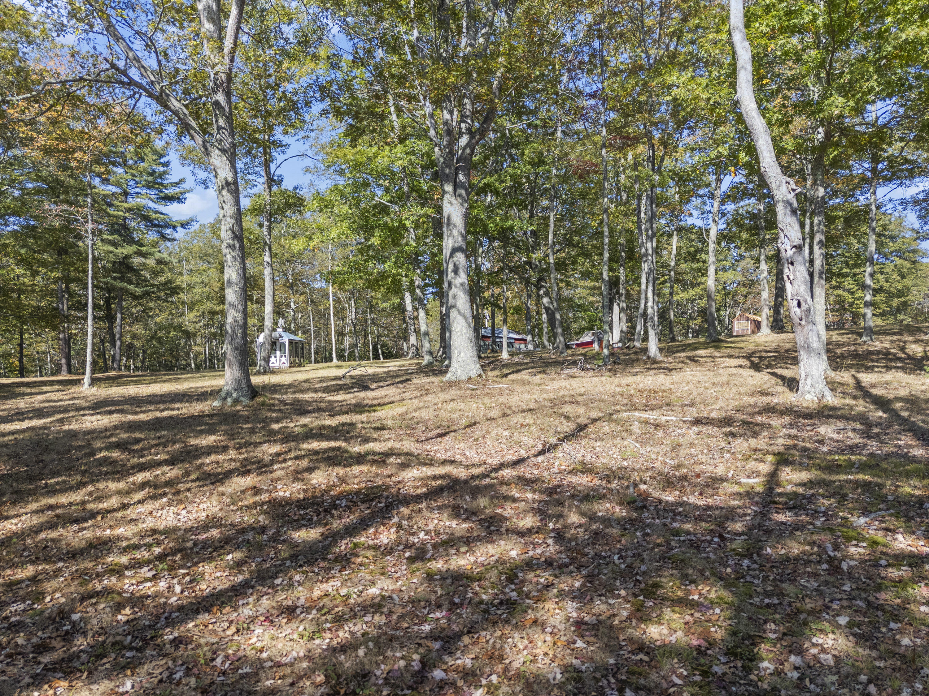 96 Forest Haven Boothbay, ME 04537 - Photo 67 of 87 96 Forest Haven_166