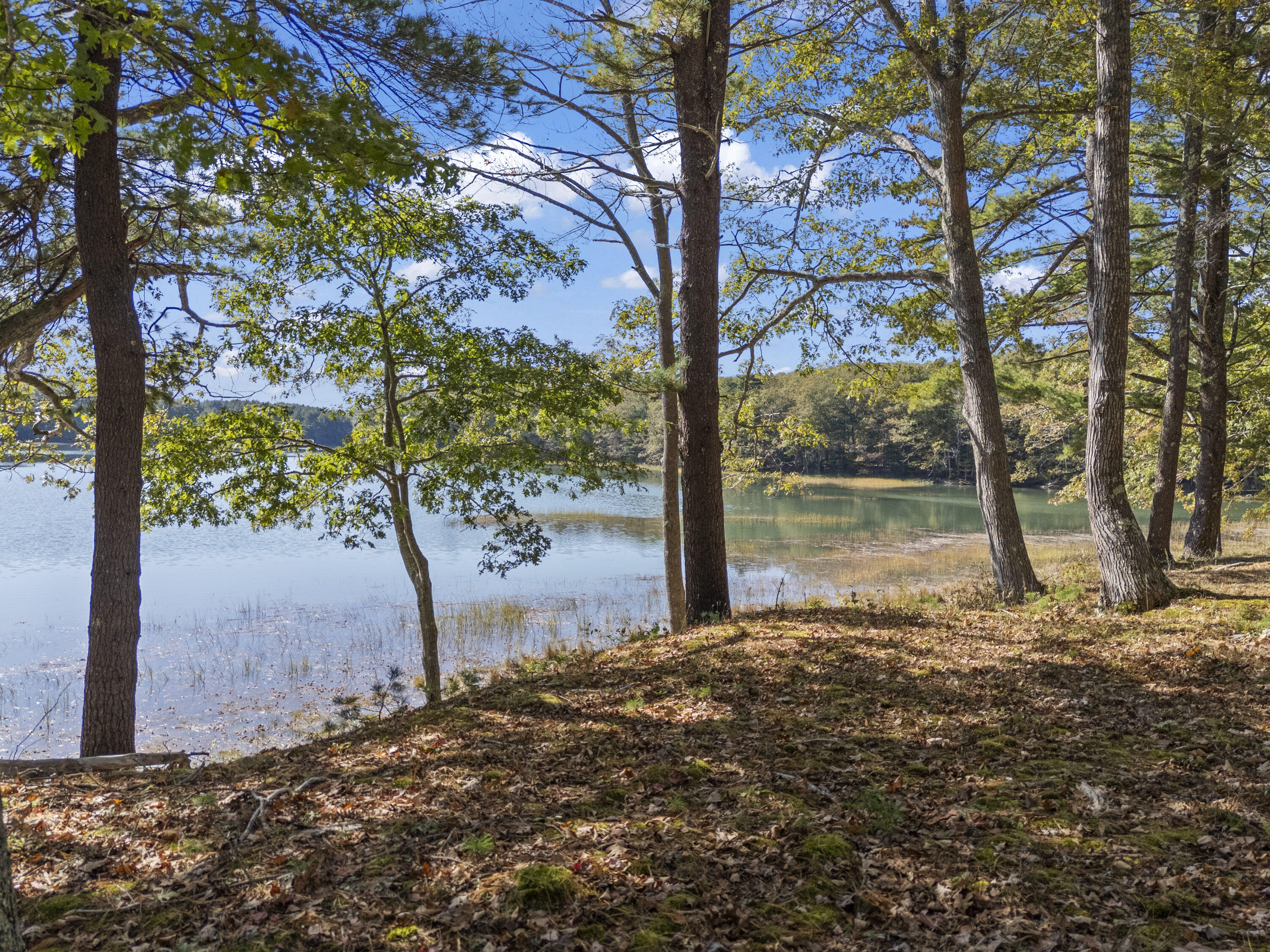 96 Forest Haven Boothbay, ME 04537 - Photo 71 of 87 96 Forest Haven_172