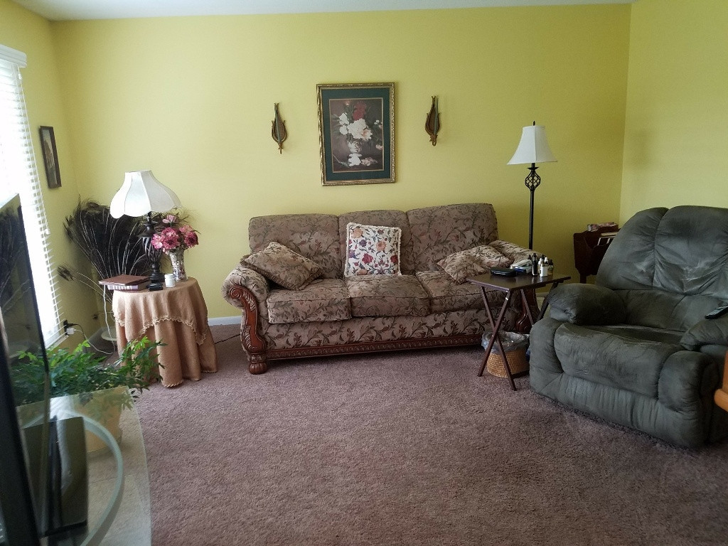 233 Lola Humphreys Road Limestone, TN 37681 - Photo 3 of 21 LIVING ROOM