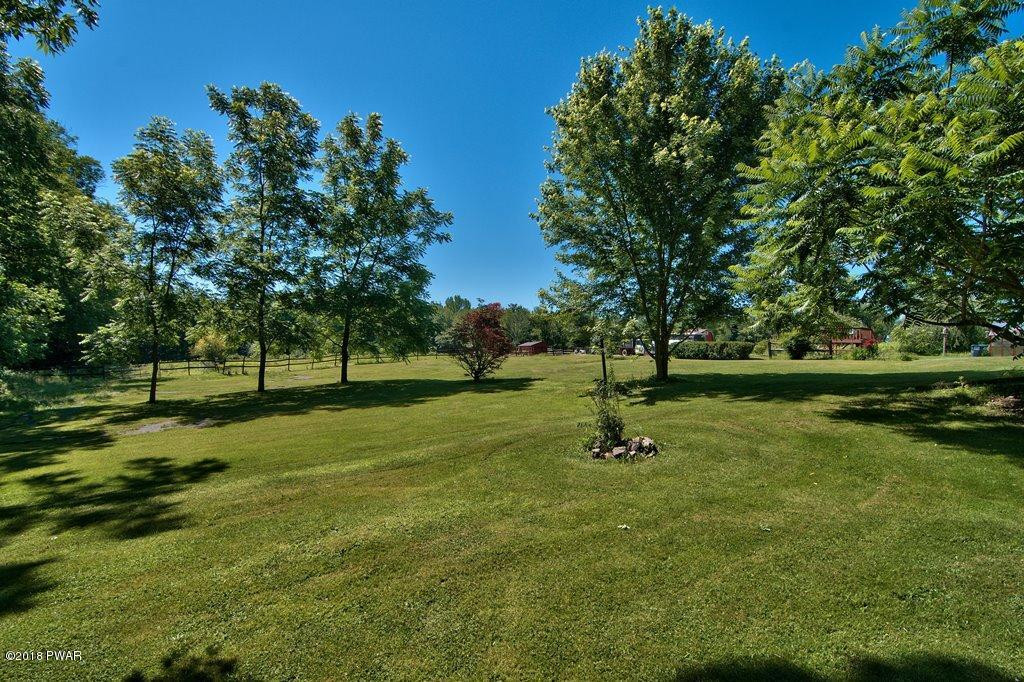 72 Hemlock Road Lake Ariel, PA 18436 - Photo 16 of 48 a park with lots of trees and plants