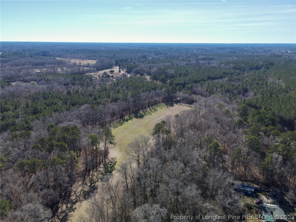 Dobbins Holmes Road Eastover, NC 28312 - Photo 4 of 10 Gallery Image 4