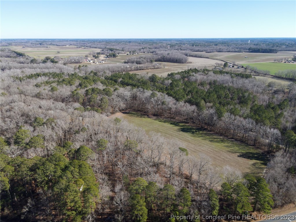 Dobbins Holmes Road Eastover, NC 28312 - Photo 5 of 10 Gallery Image 5