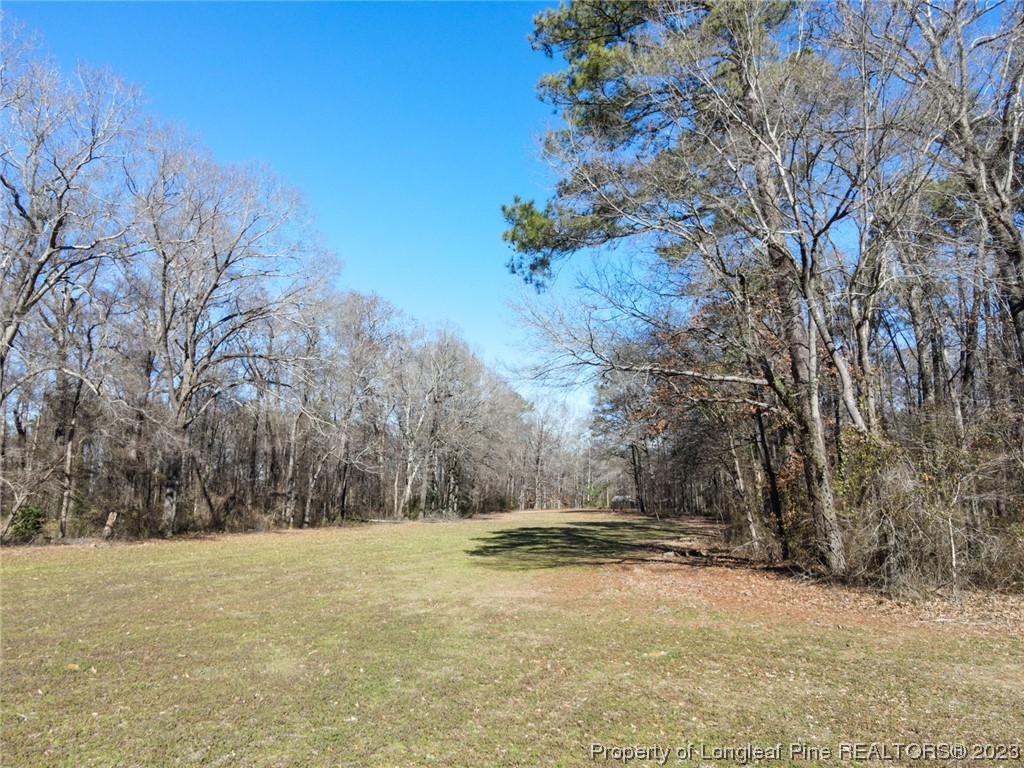 Dobbins Holmes Road Eastover, NC 28312 - Photo 6 of 10 Gallery Image 6