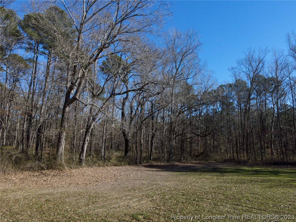 Dobbins Holmes Road Eastover, NC 28312 - Photo 7 of 10 Gallery Image 7