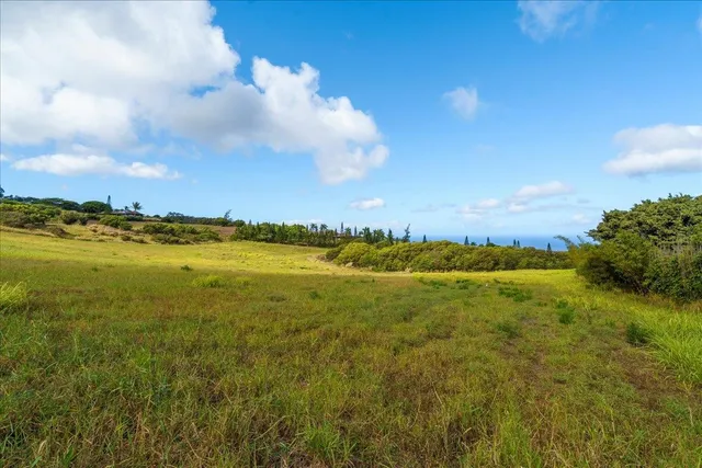 a view of an ocean and beach