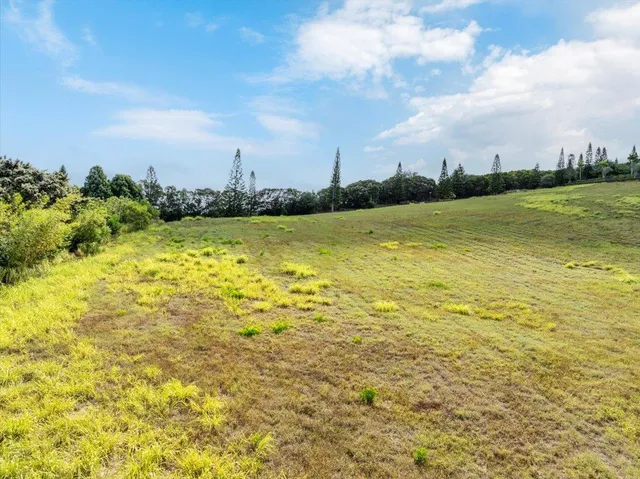 a view of a lake with a city