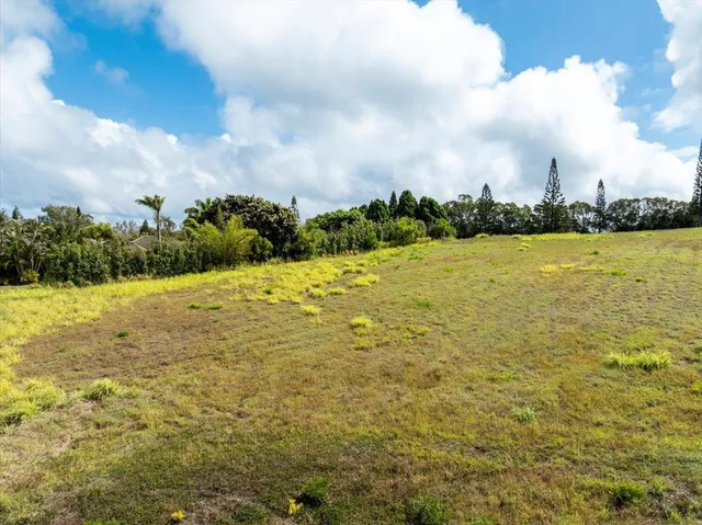 a view of an ocean from a yard