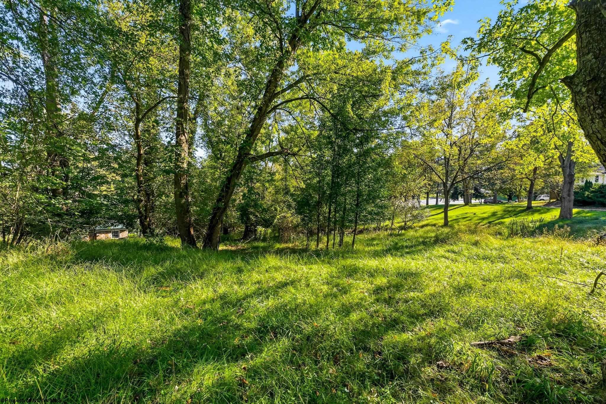 Tbd Fairmont Road Morgantown, WV 26501 - Photo 20 of 29 Gallery Image 20