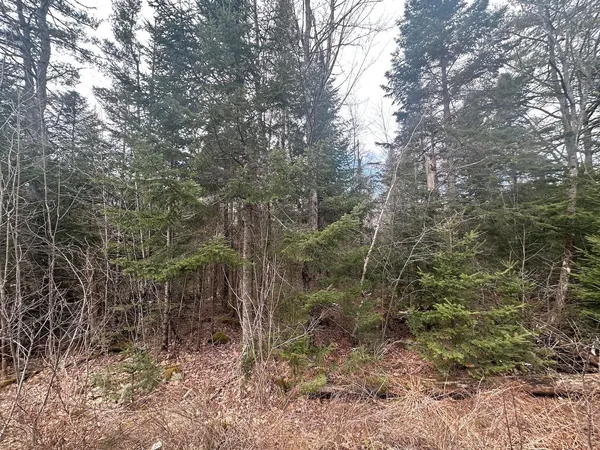 $149,500 | 0 North Littleton Road, Littleton, NH 03561